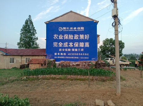 邻水墙体广告的优劣势你知道吗？